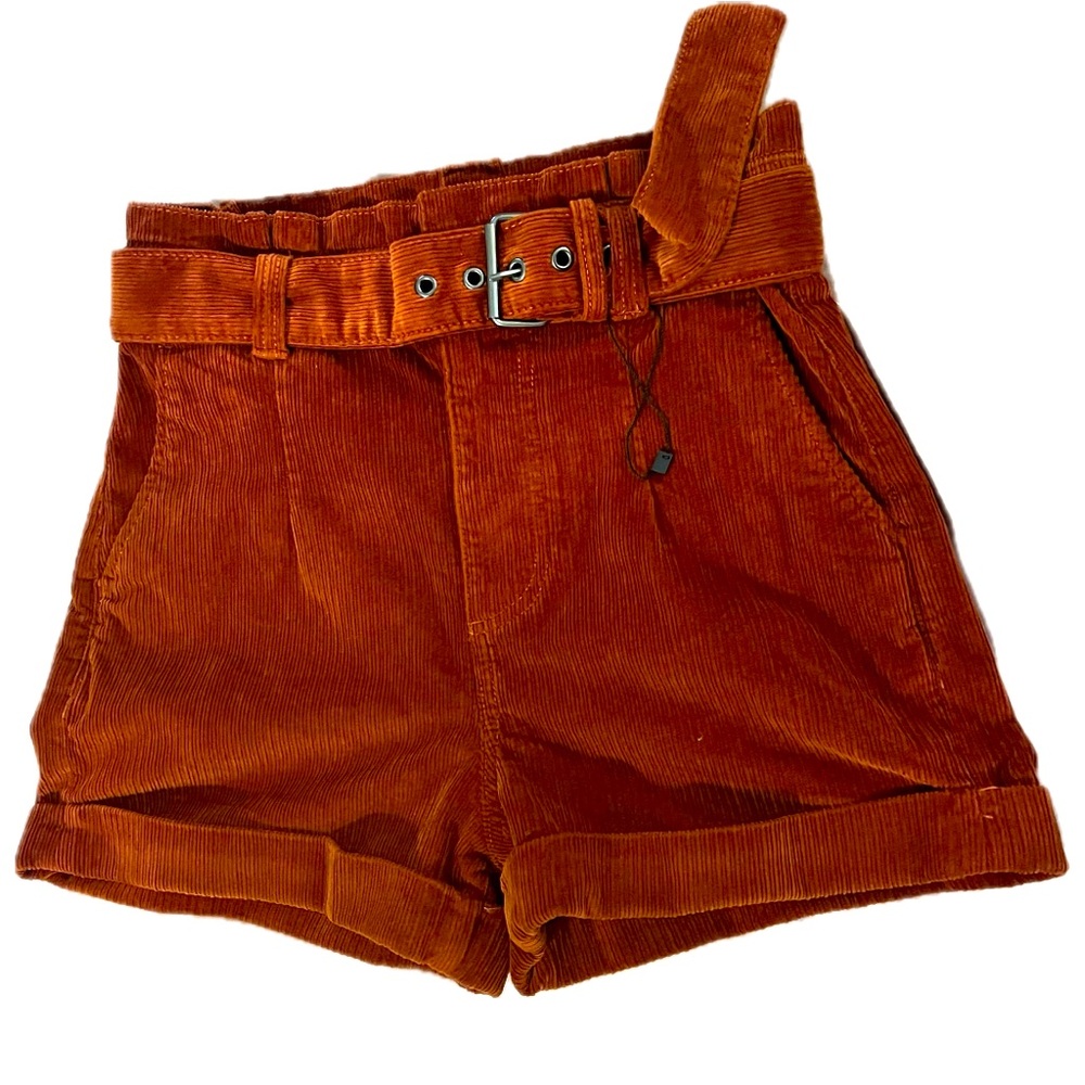Express extreme high rise burnt orange shortie shorts size 2